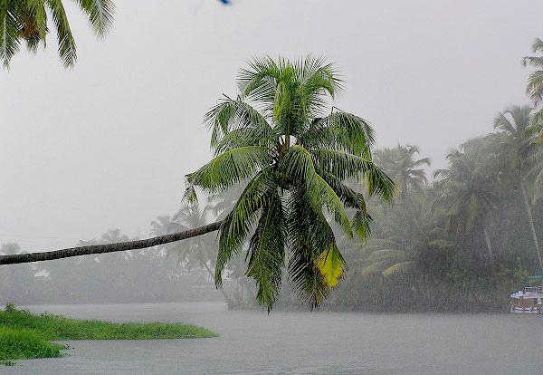 Southwest Monsoon touches Kerala today
