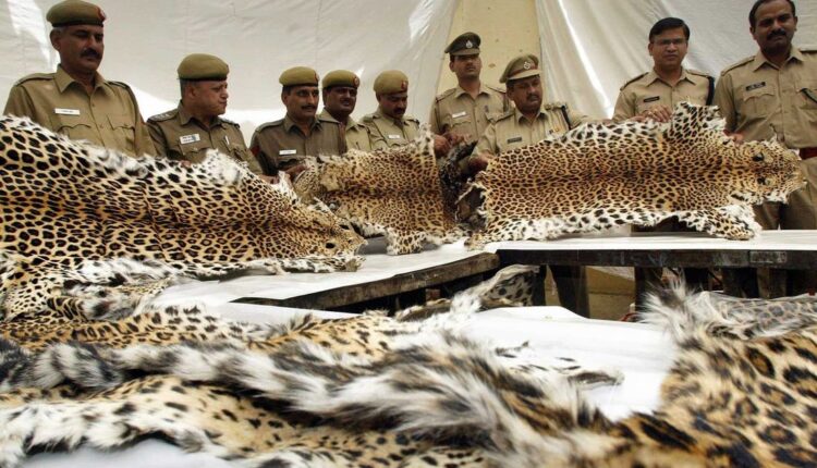 poaching in india