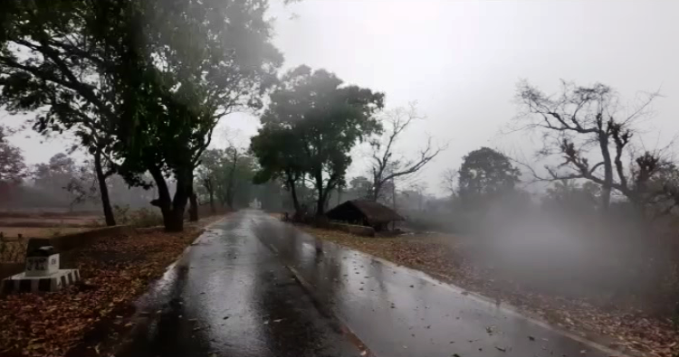 Similipal wildfire: Rainfall, hailstorm bring little respite [Watch]