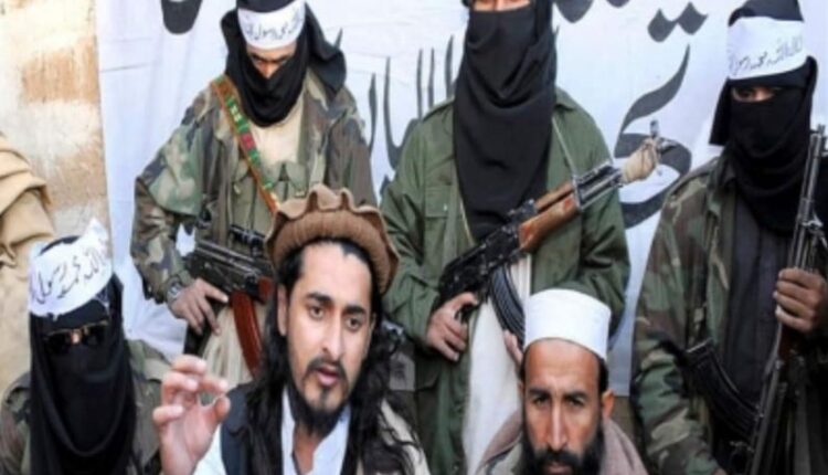 taliban pakistan