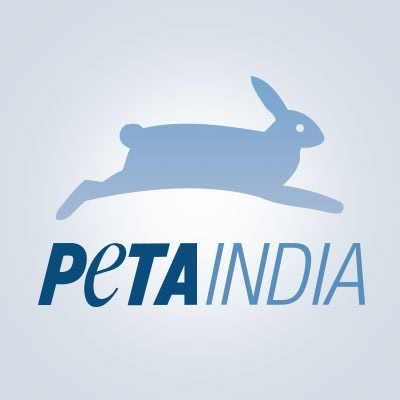 rat glue traps: Arunachal Pradesh bans rat glue traps. Here's why