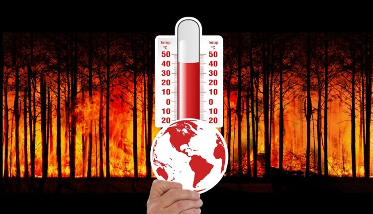Forest Fire Climate Change Forest Fire Thermometer
