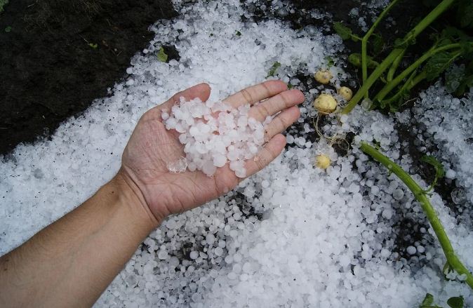 IMD predicts hailstorm in these Odisha districts on March 31