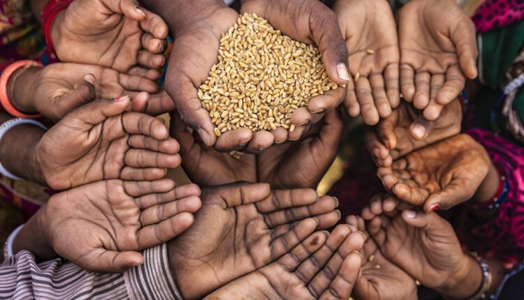 23% more Indians at risk of hunger by 2030 due to climate change: Study