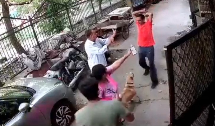 man attacks dog
