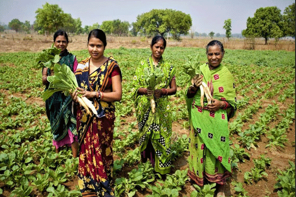 women-on-farmland