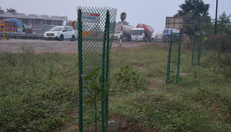 Image_Vedanta Aluminium conducts avenue plantation drive in Jharsuguda, Odisha